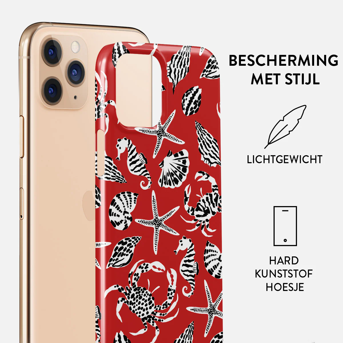 Productafbeelding 2