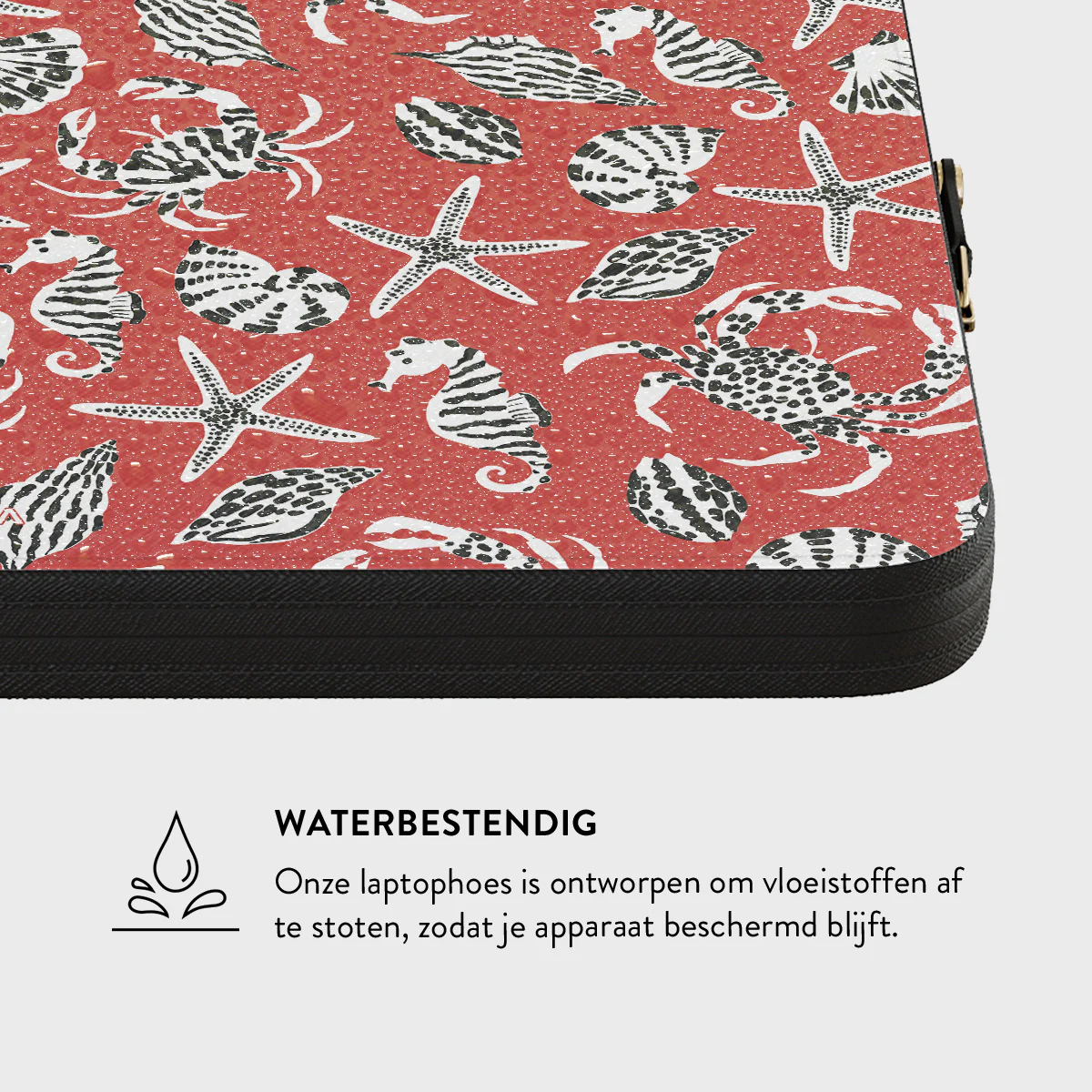 Productafbeelding 10
