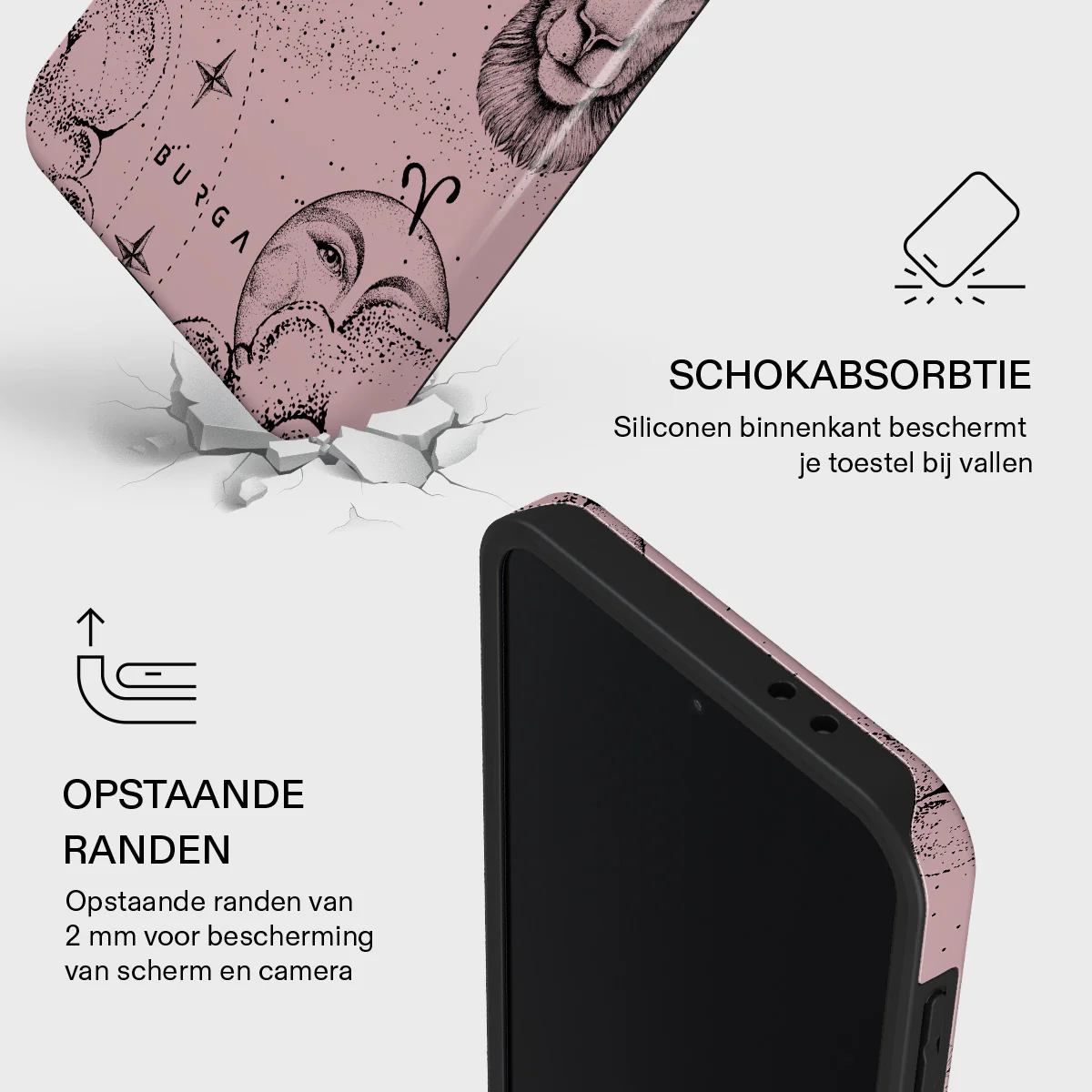 Productafbeelding 12