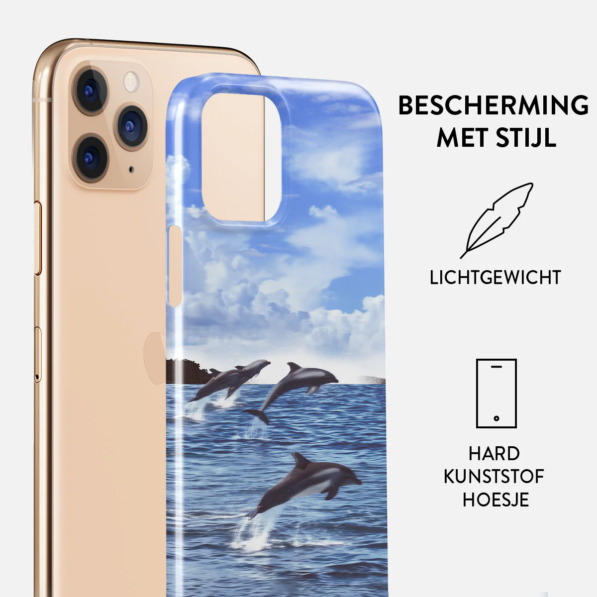 Productafbeelding 2